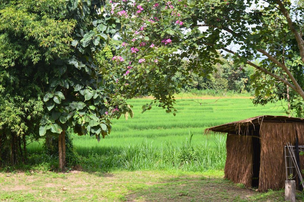 Отель Monkey House Пай Экстерьер фото